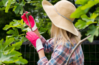 Bezpečnosť pri práci v záhrade: 12 tipov pre prevenciu problémov a zranení!